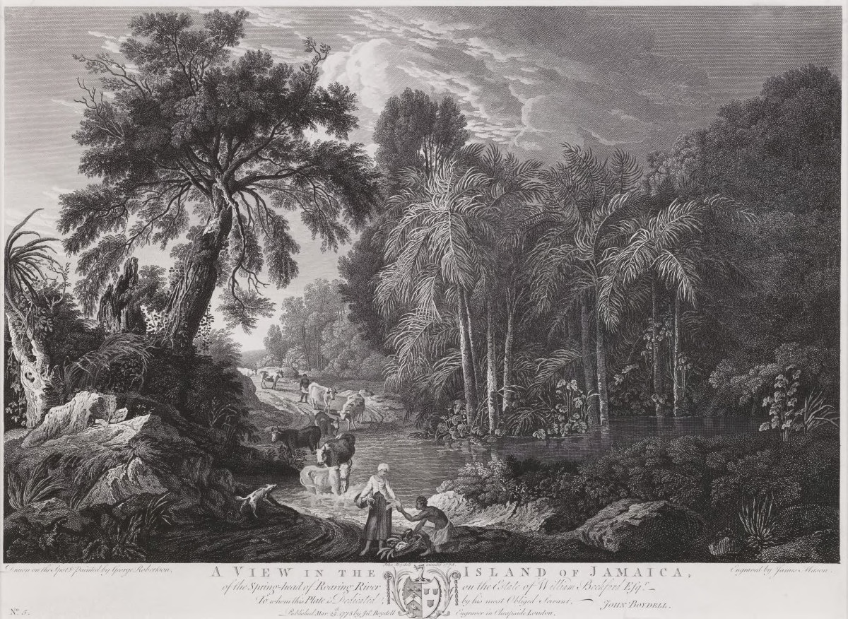 A View in the Island of Jamaica, of the Spring-Head of Roaring River on the Estate of William Beckford Esq.[5]