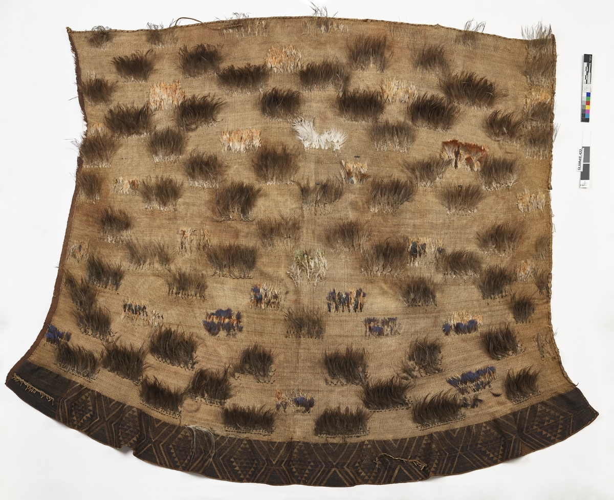 Kaitaka Huruhuru Feather Cloak