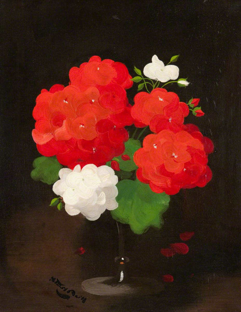 Flower Study, Red and White Geraniums
