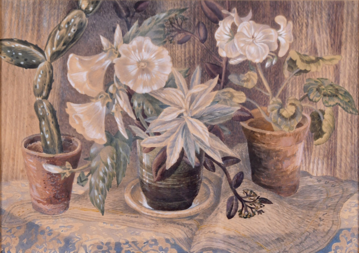 Still Life of Potted Plants