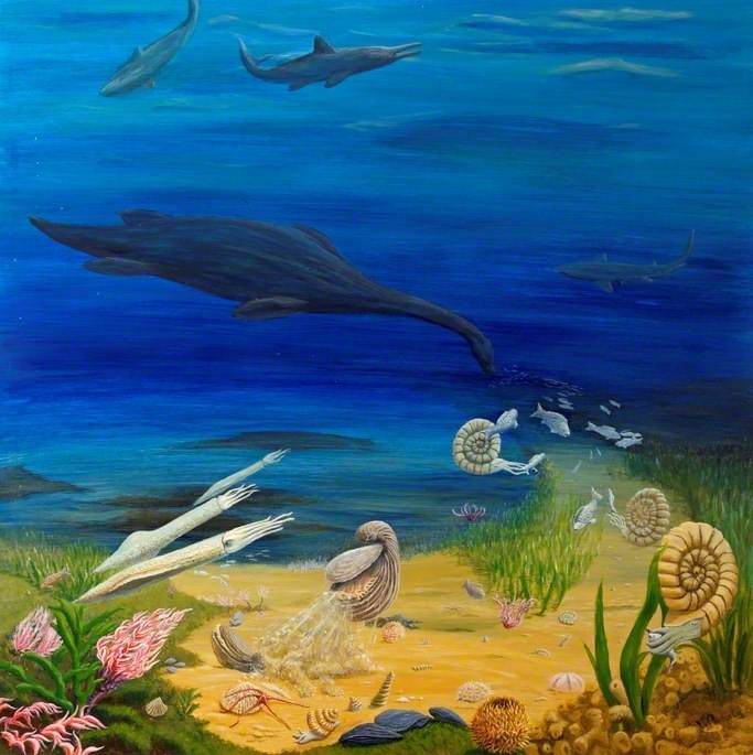 Sea Life in the Prehistoric Period