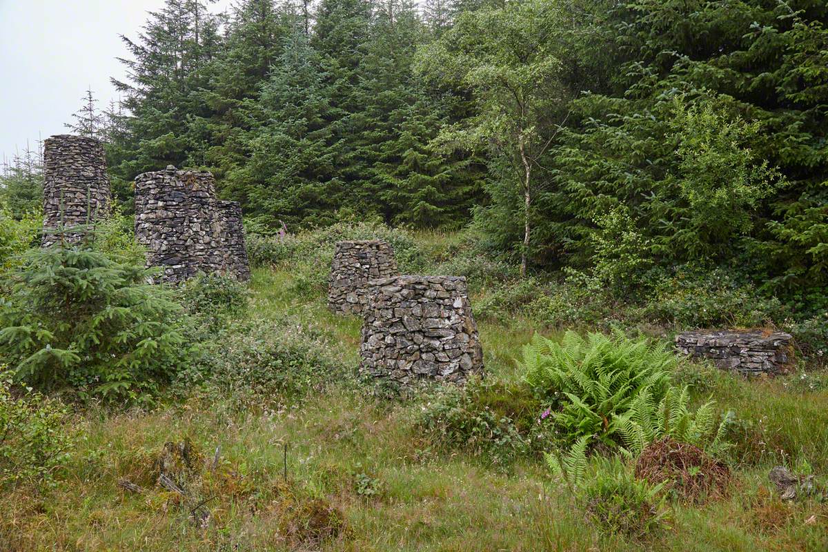 Stone Forest