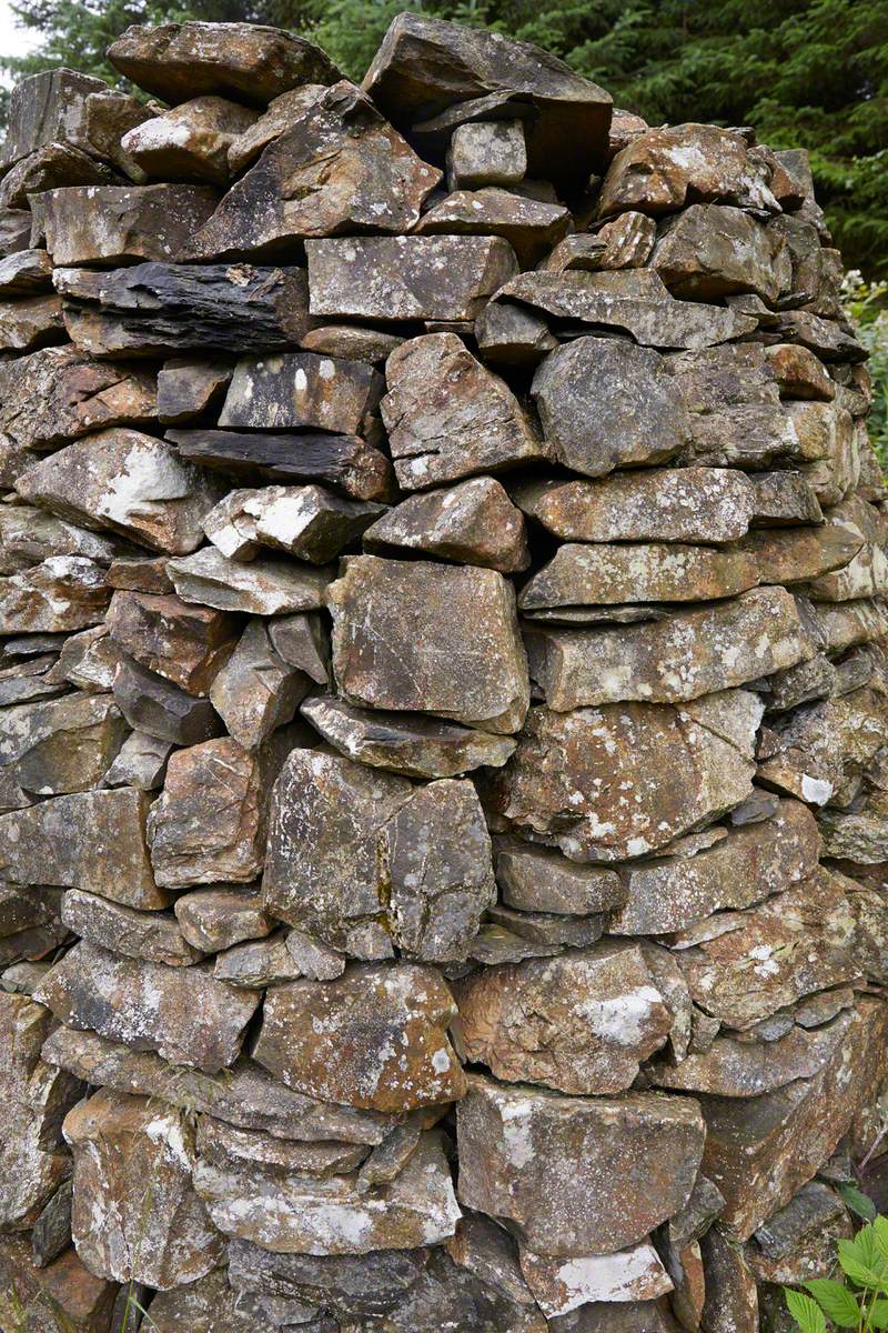 Stone Forest