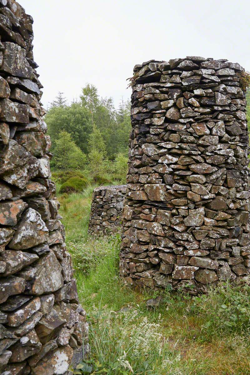 Stone Forest