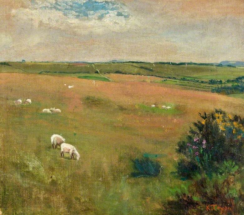 Wiltshire Downs, Martinsell