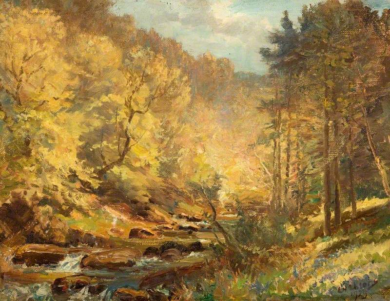 A Forest Stream