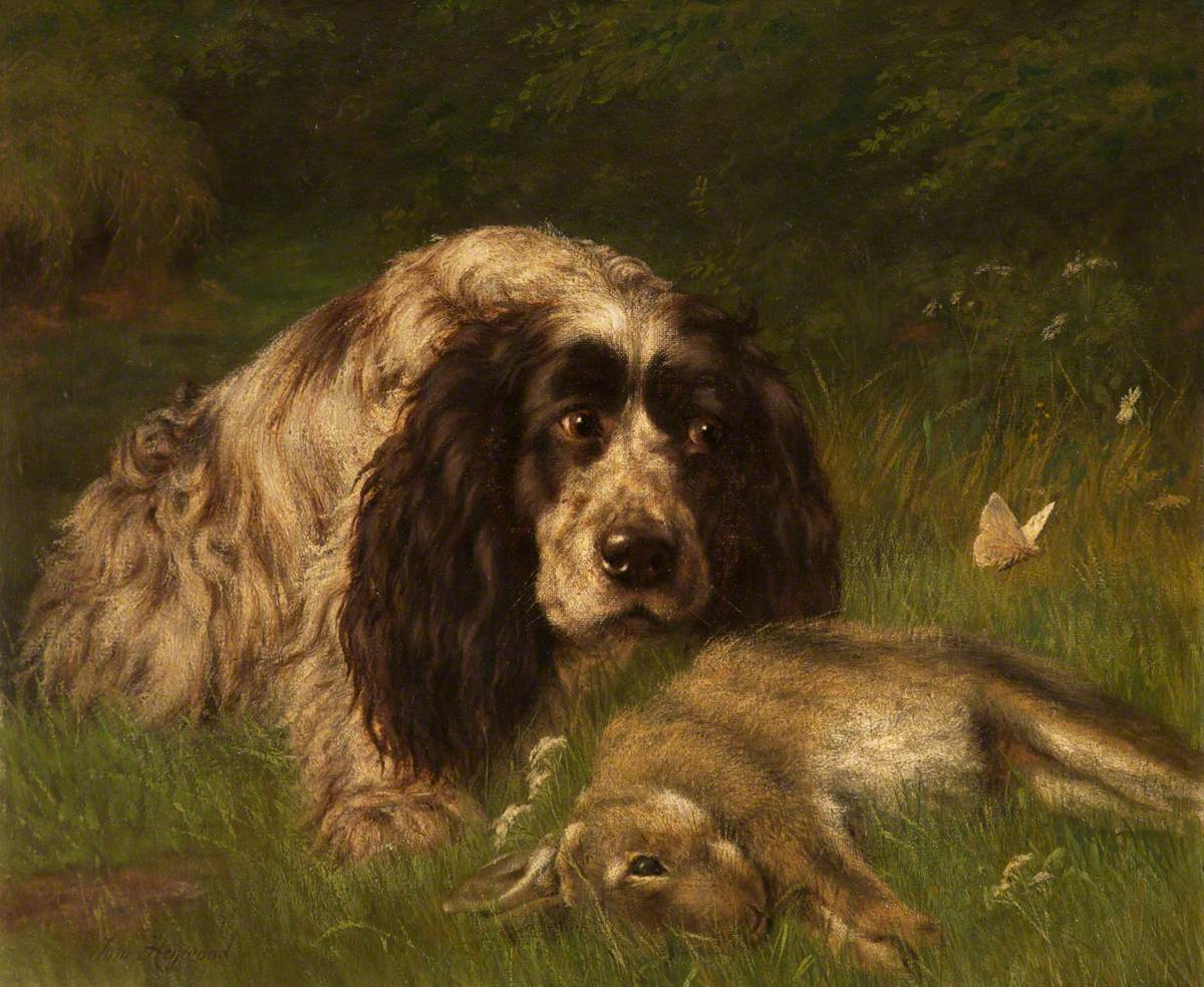 Spaniel and Rabbit