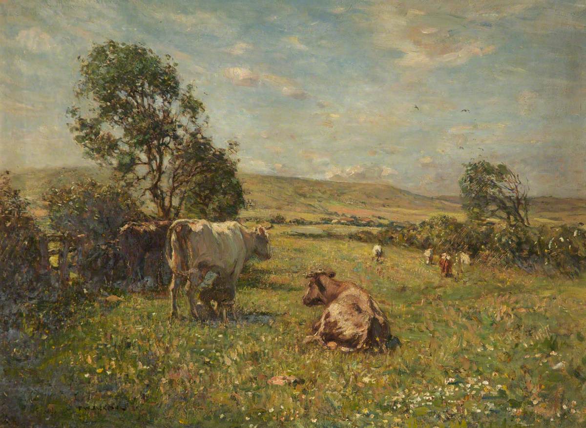 Cattle in a Meadow
