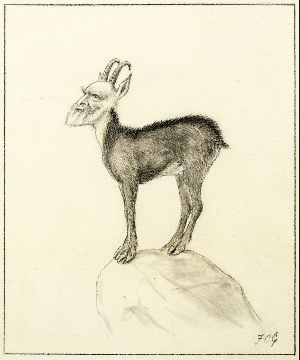 The Chamois