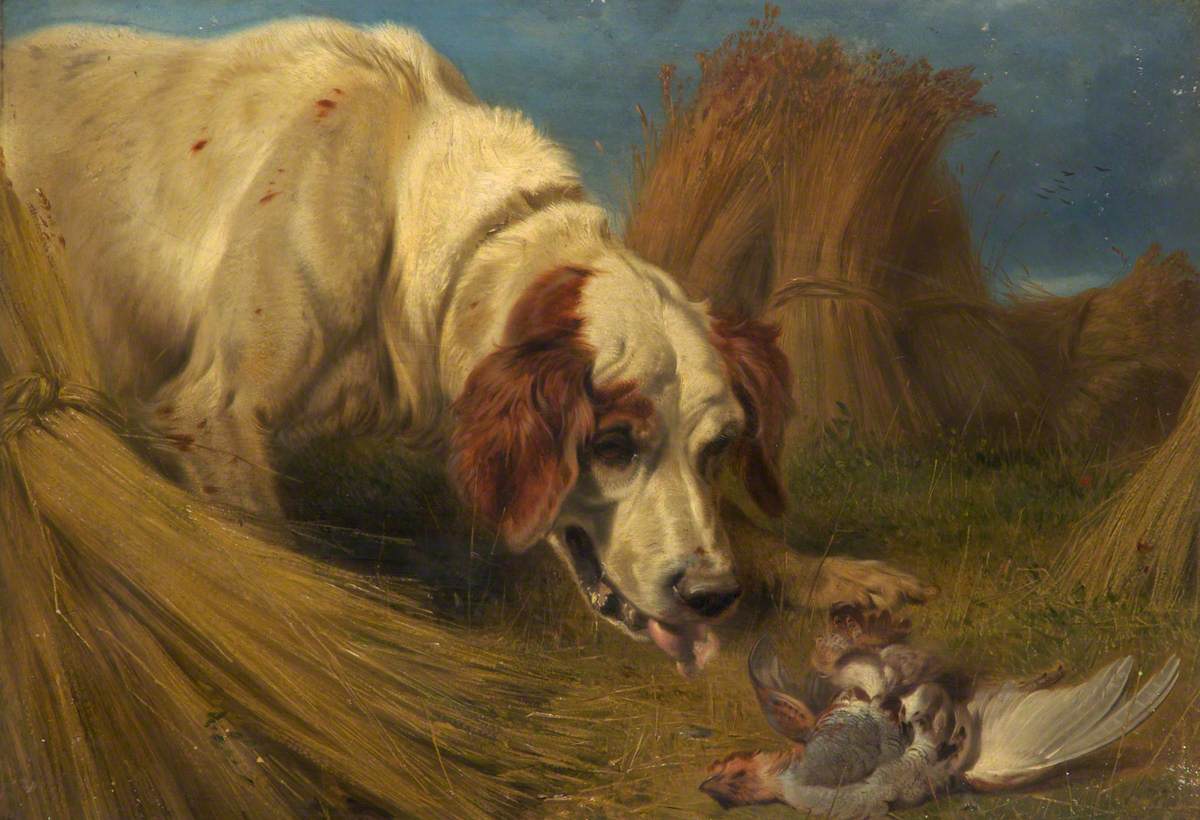 Dog and a Dead Partridge