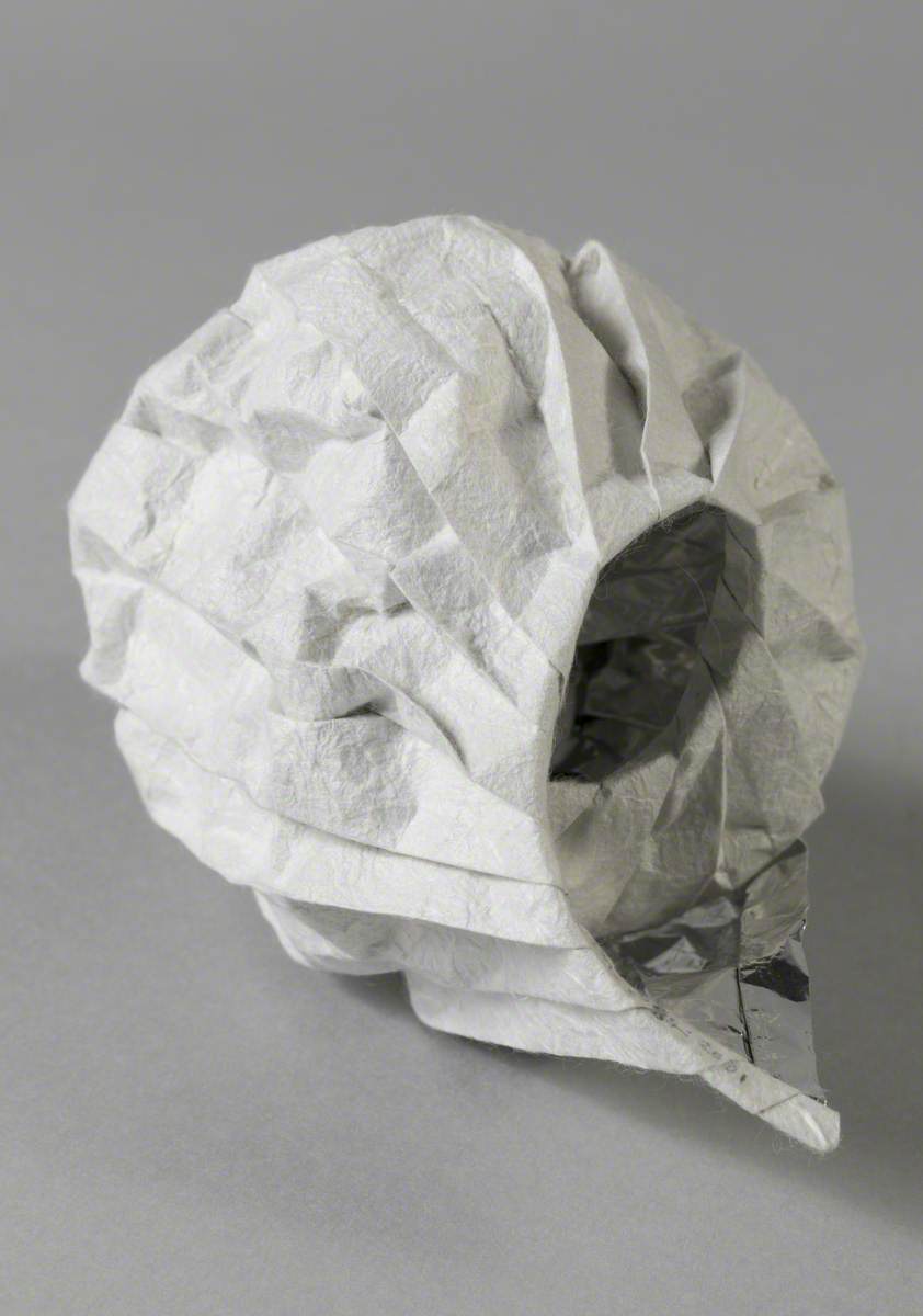 Folded Paper Ammonites