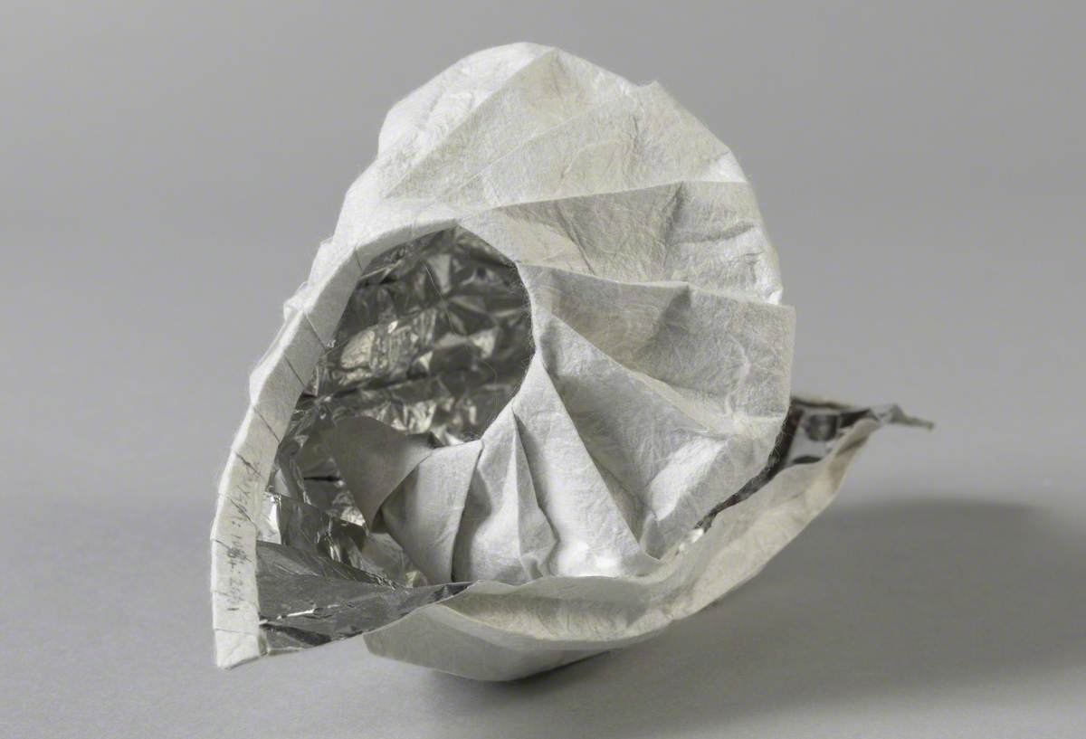 Folded Paper Ammonites