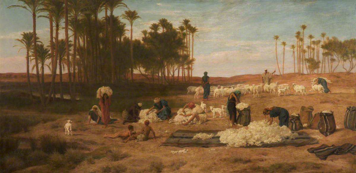 Sheep Shearing in Egypt