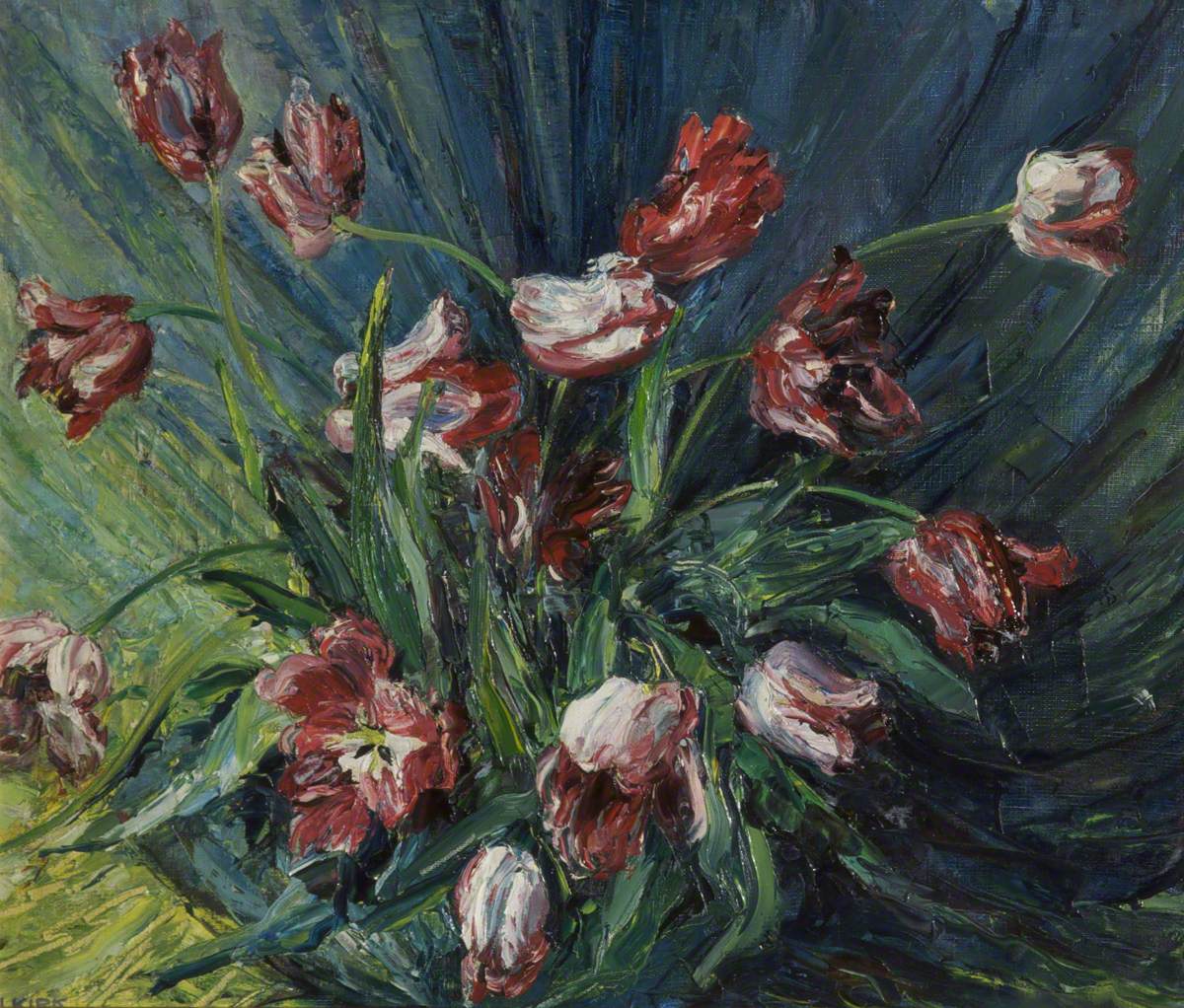 Tulips