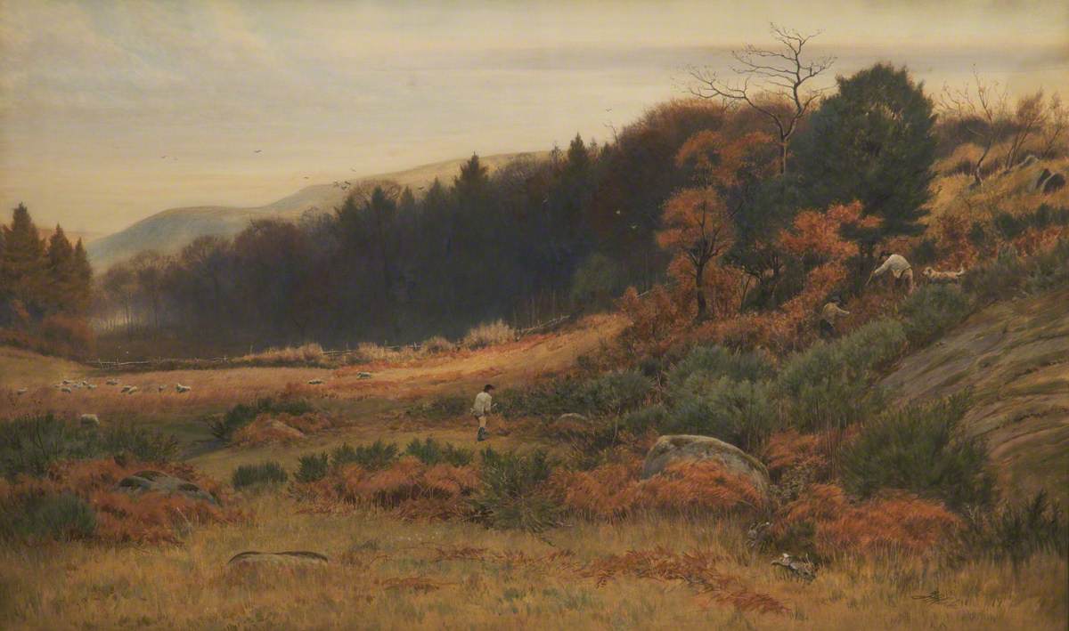 Autumn at Caerhun, Conway Valley
