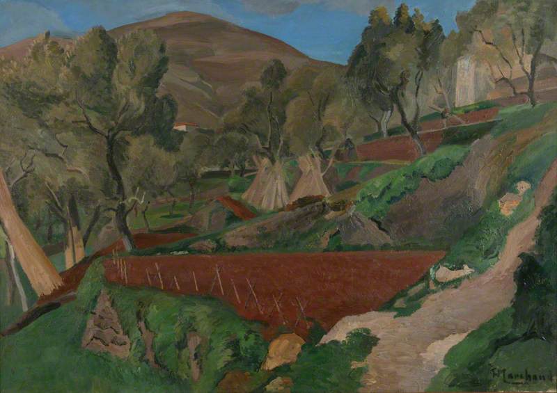 Olive Trees, Vence