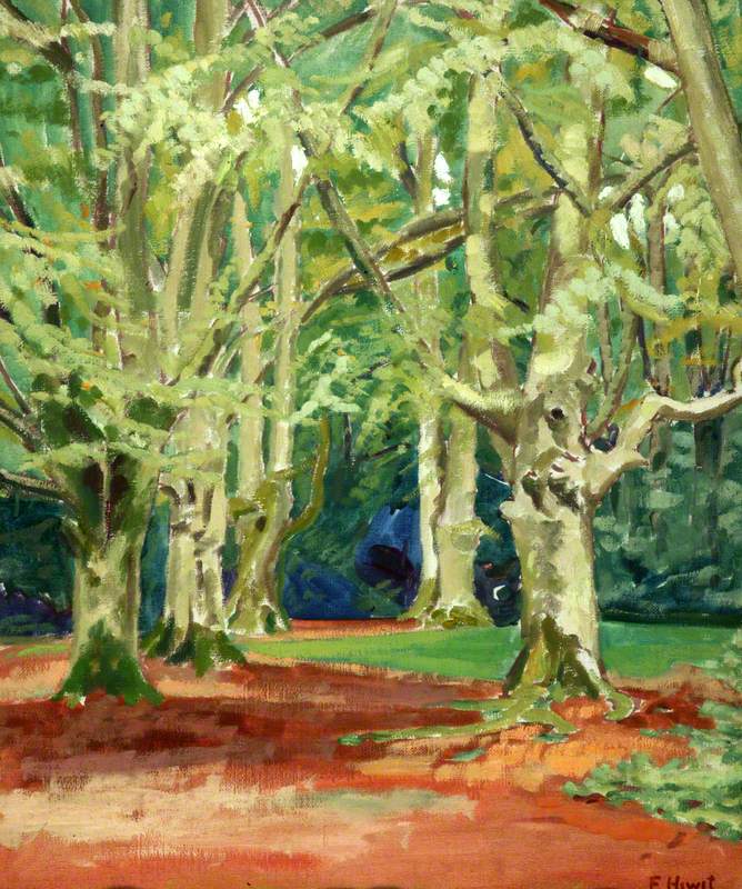 Beech Trees in the New Forest