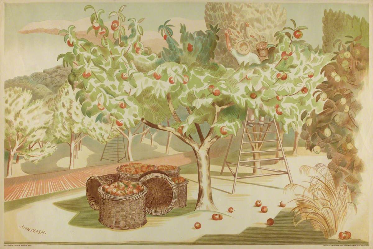 Orchard of Apple Trees at Harvest Time*