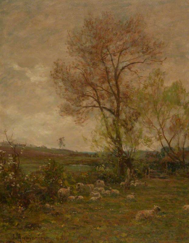 Landscape with Sheep