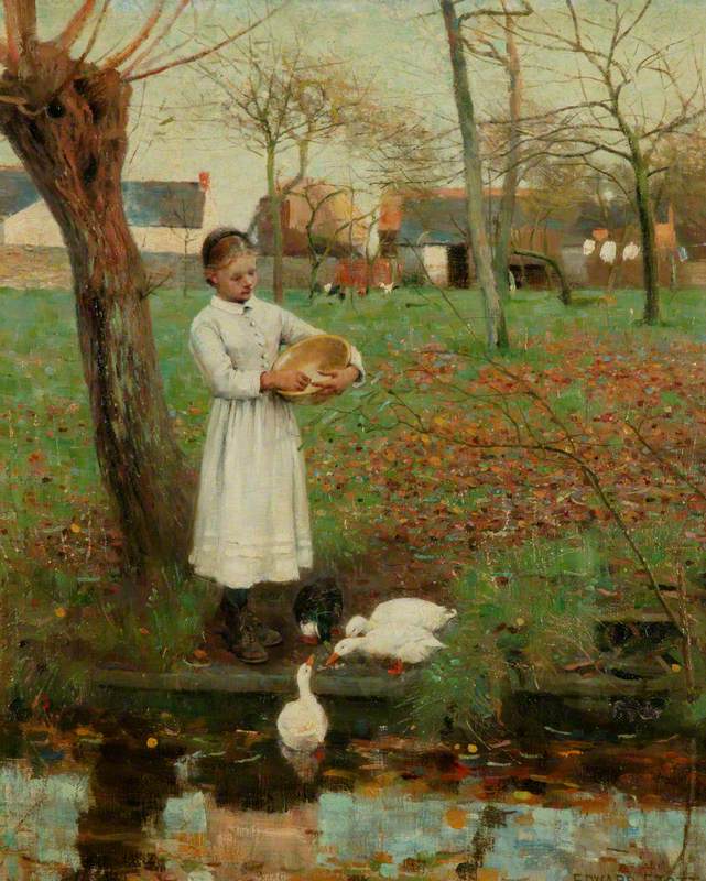 Feeding the Ducks