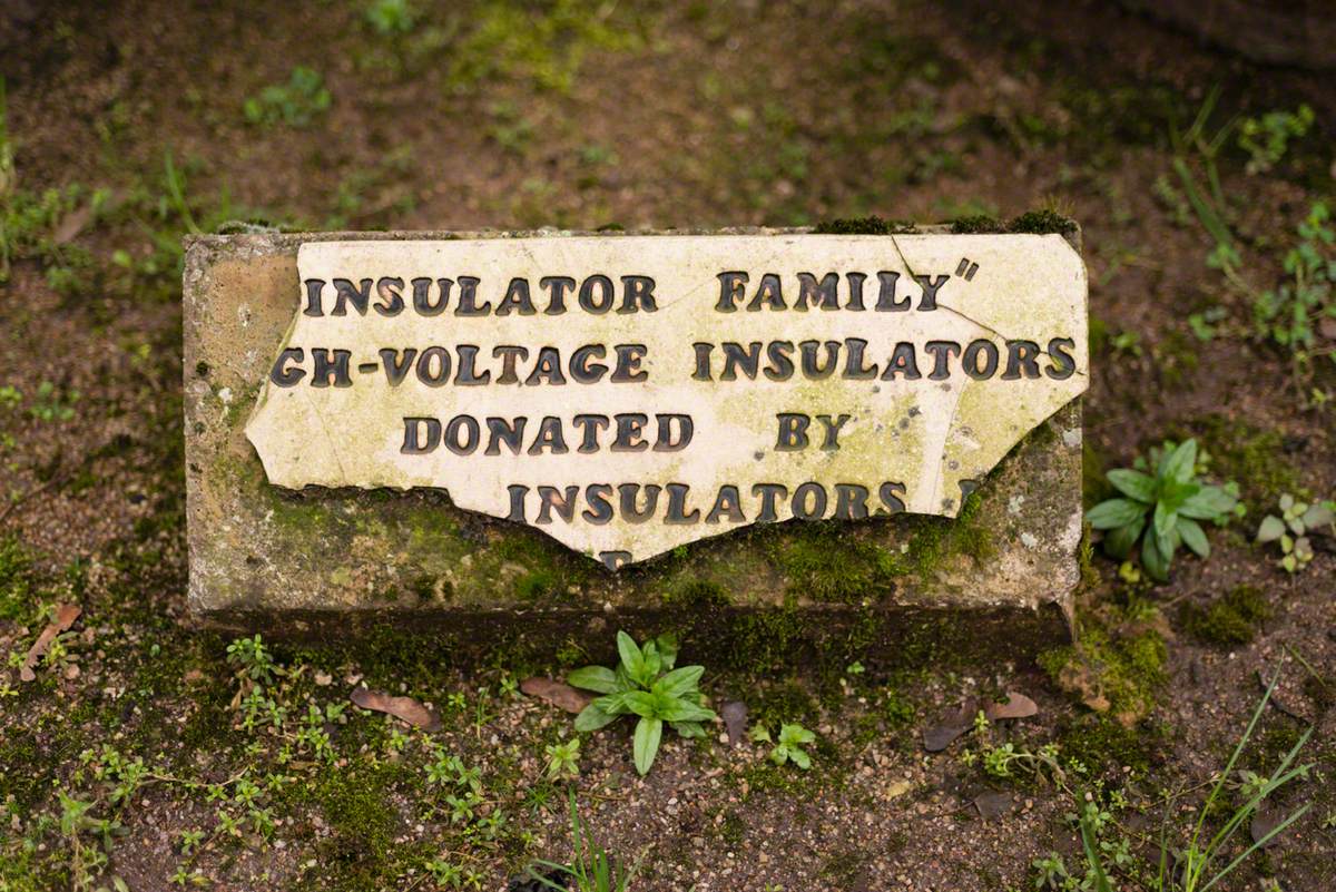 Insulator Family