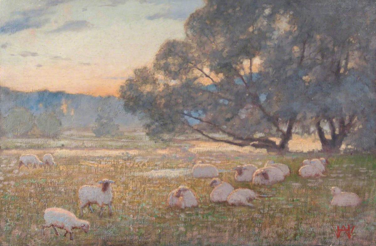 Pastoral, Sheep in the Meadows, Farnham