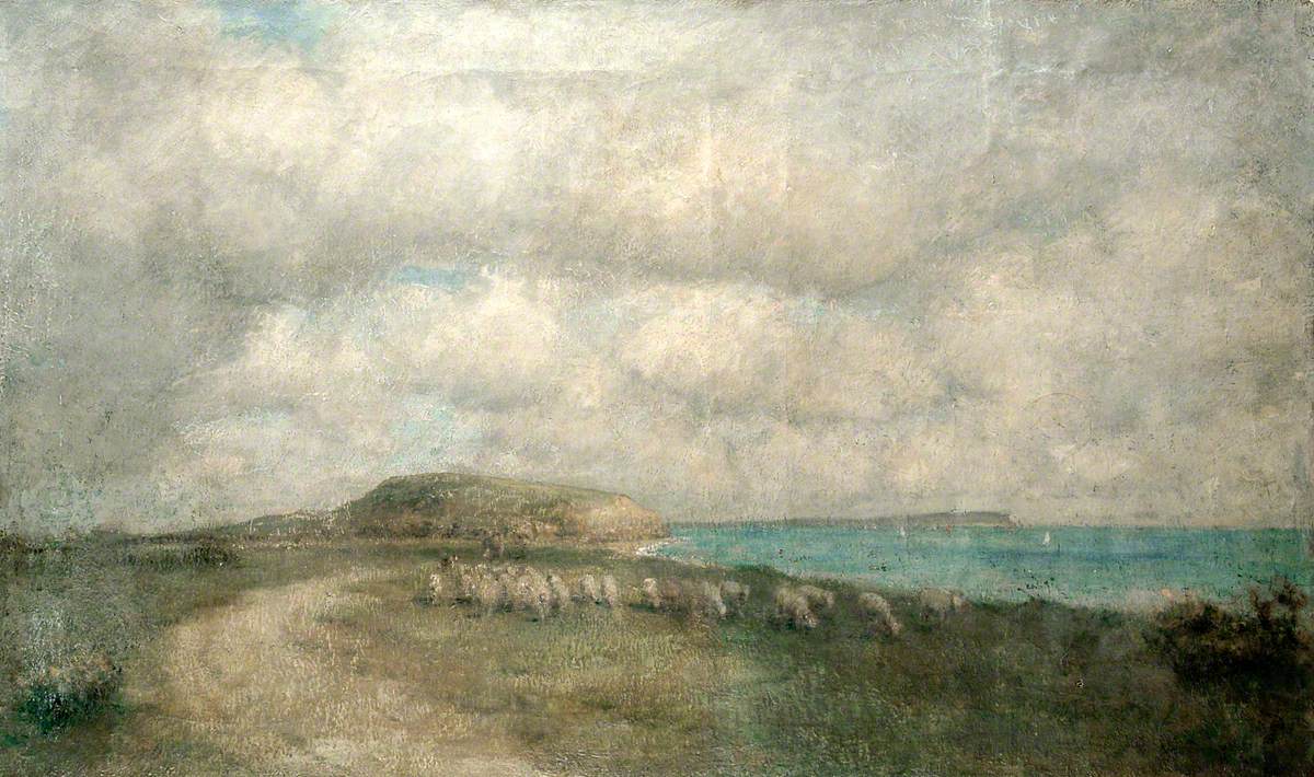 Sheep on Hengistbury Head