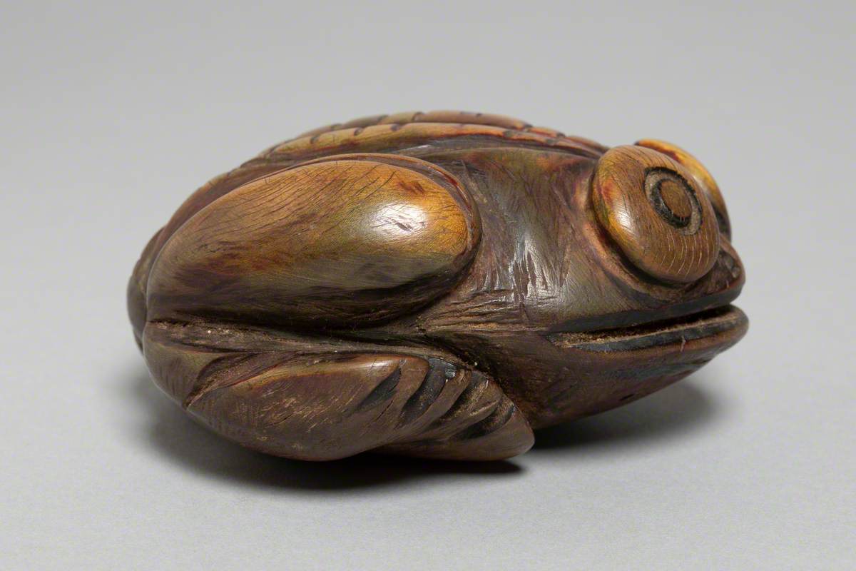 Squatting Toad