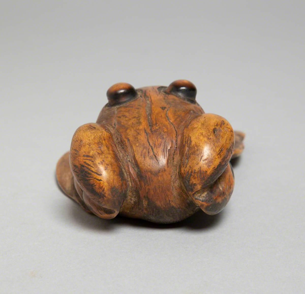 Frog Paperweight of Holly