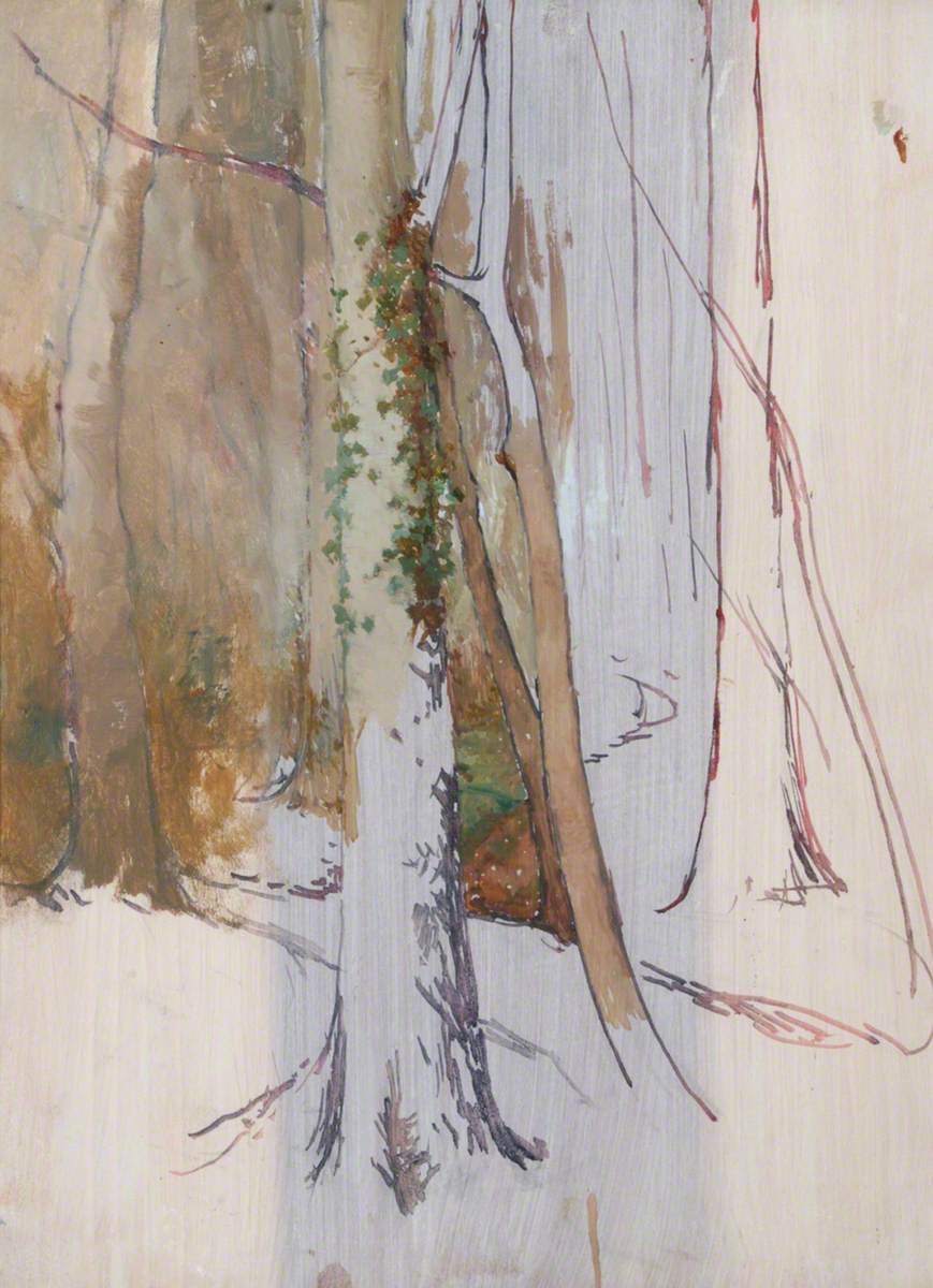 Tree Study, Summerhill