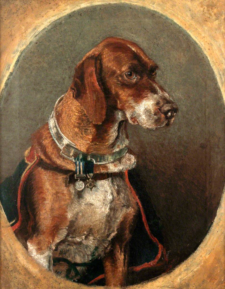 Nell, Adopted by the Royal Marine Artillery in the Early 1880s