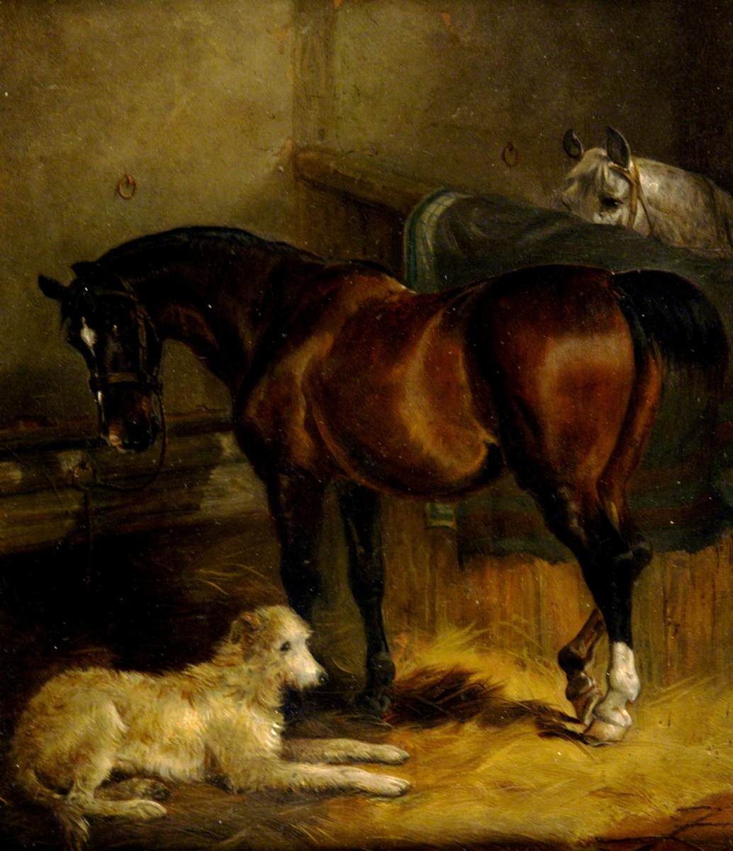 Horses in Stable