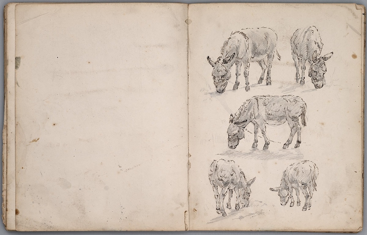 Sketchbook of Drawings