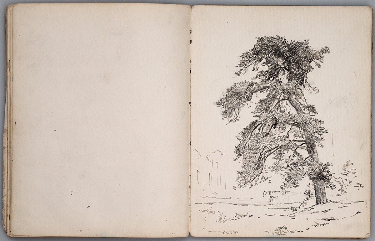 Sketchbook of Drawings