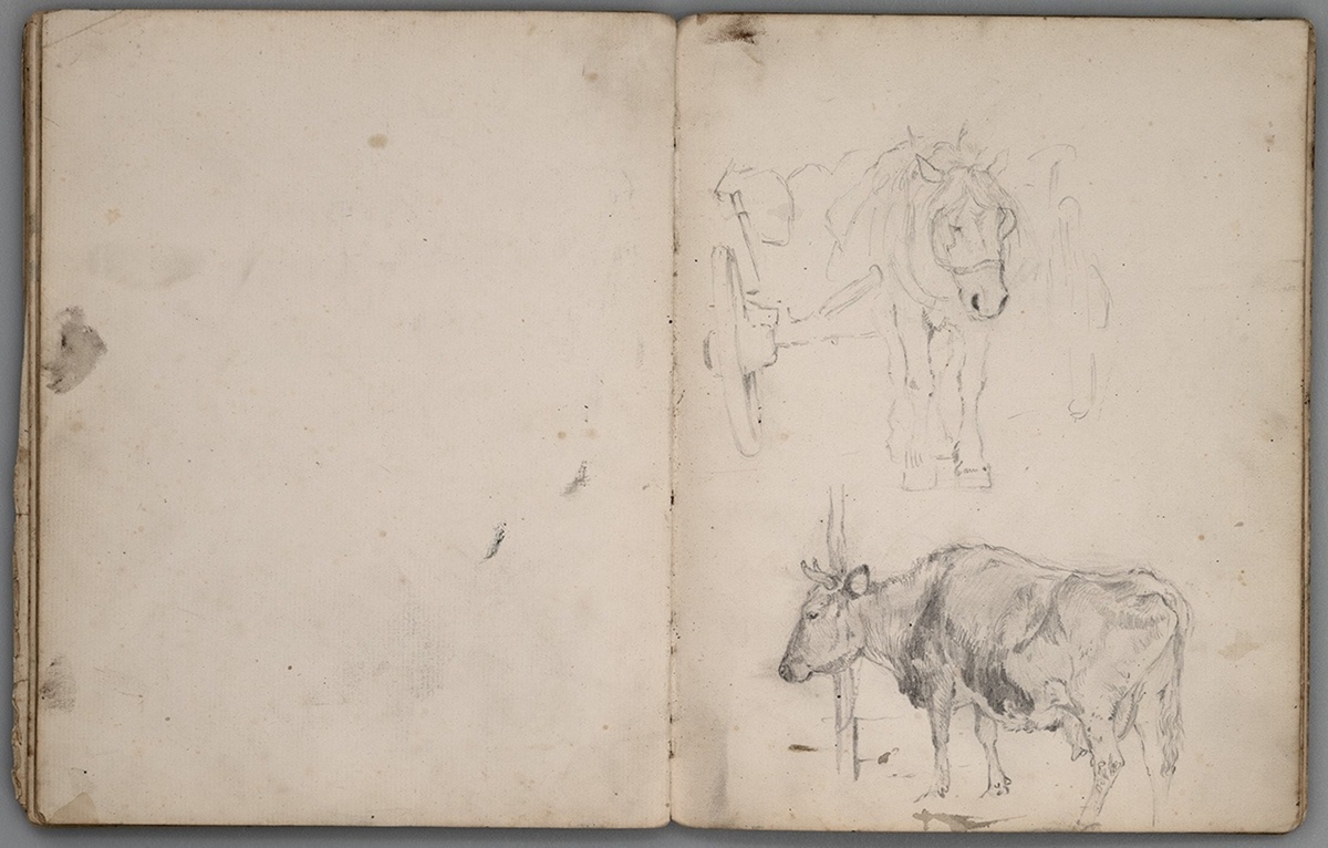 Sketchbook of Drawings