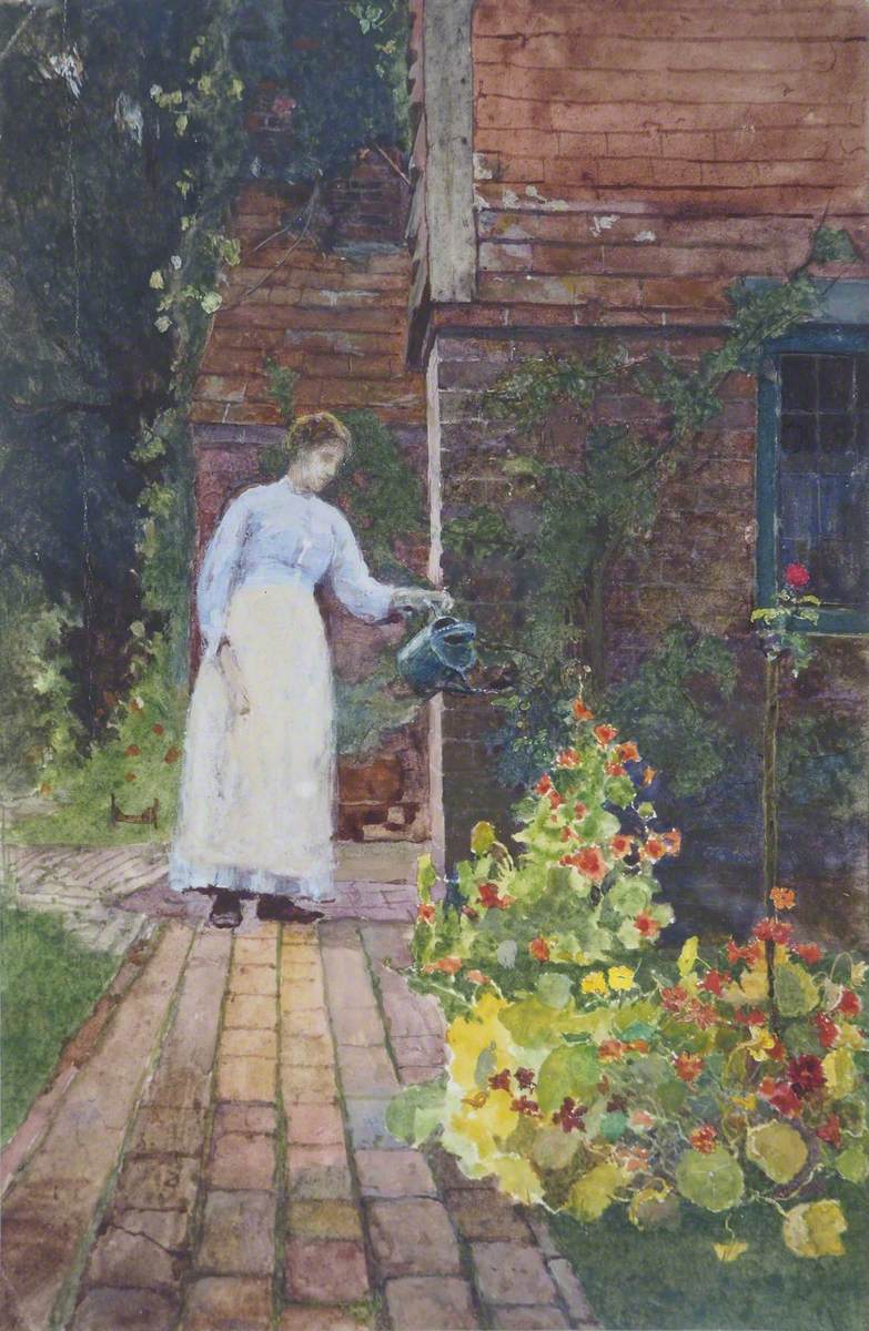 Watering the Nasturtiums