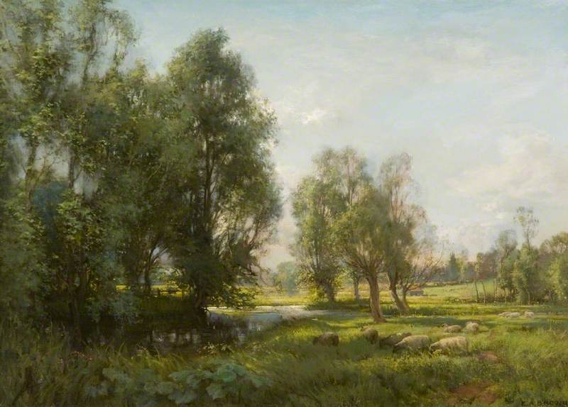 Summer Morning in the Meadows, Molewood