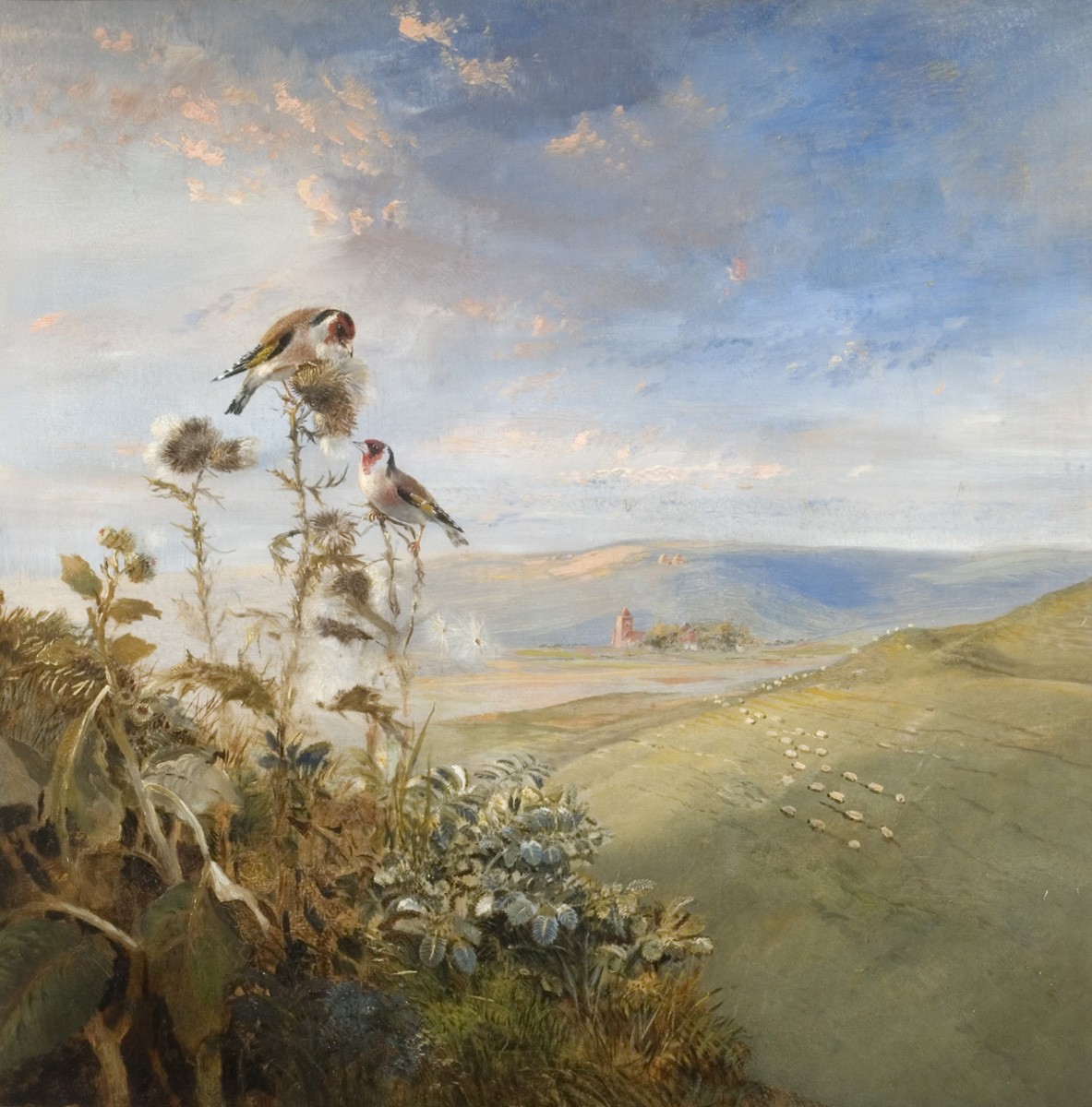 Goldfinches on Thistles