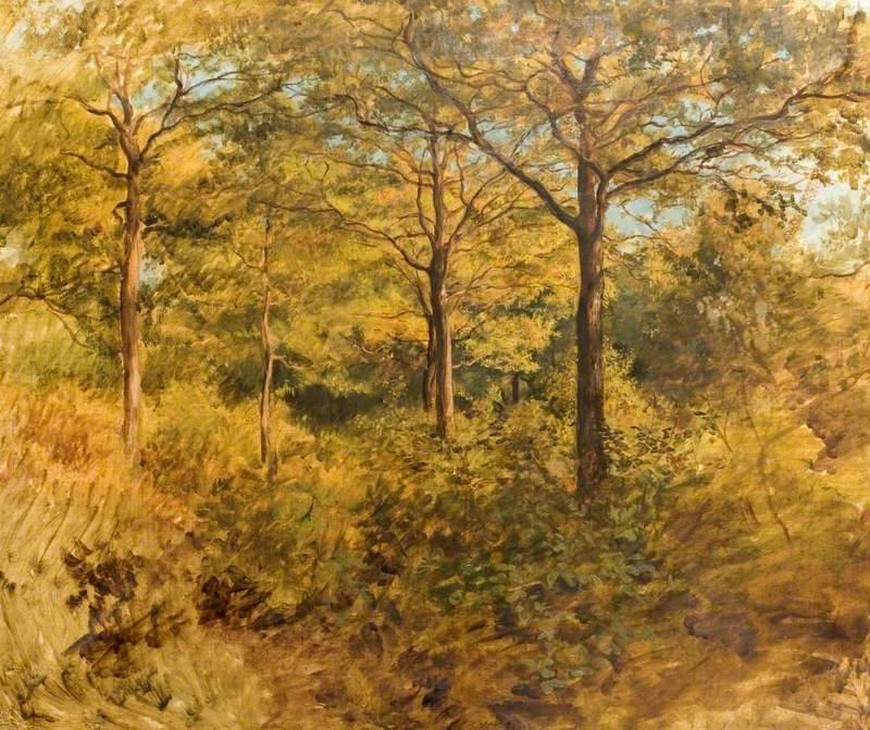 Woodland Scene