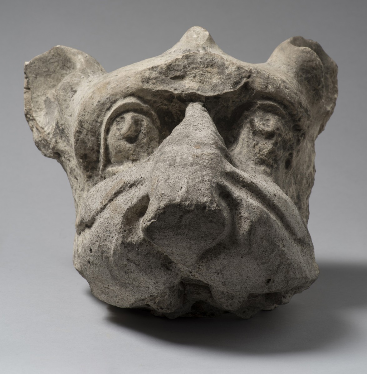 Gargoyle in the Form of a Dog's Head