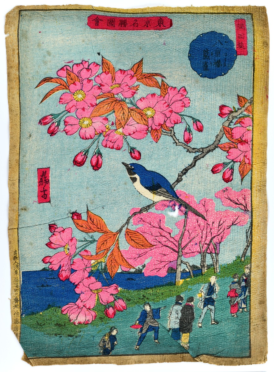 Sumida River Bank