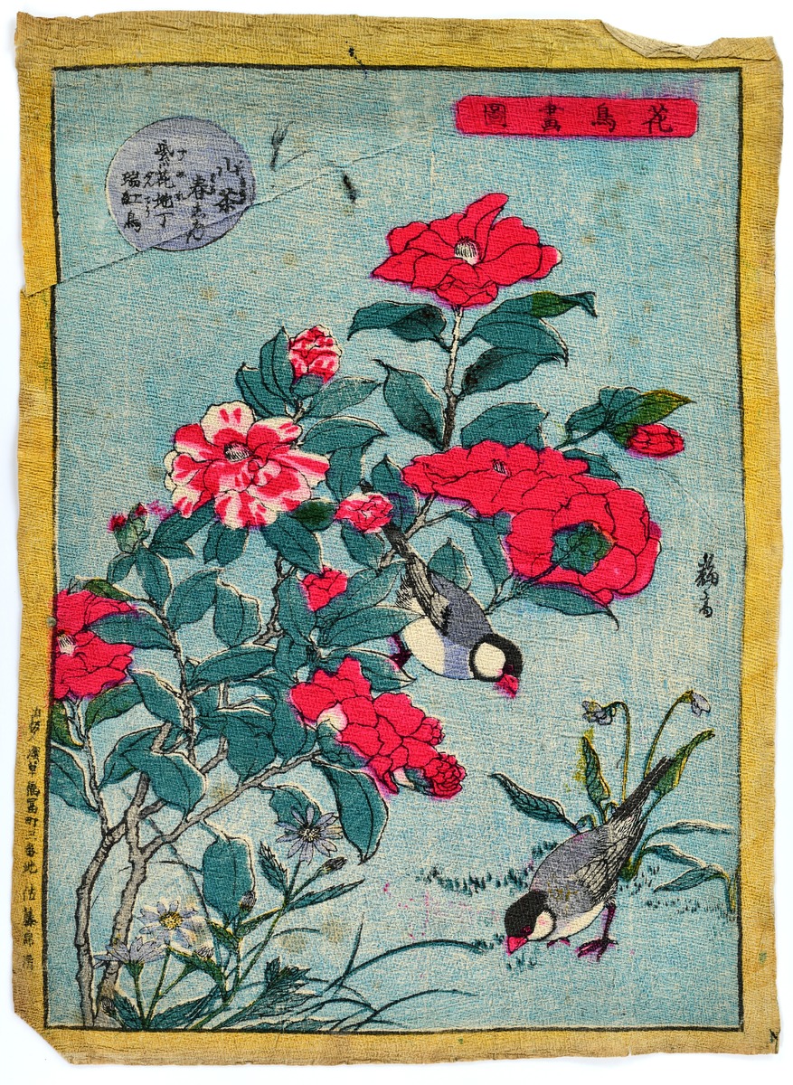 Bird and Flower
