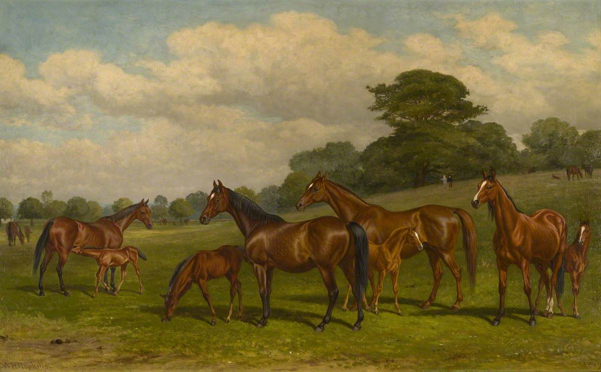 Mares and Foals