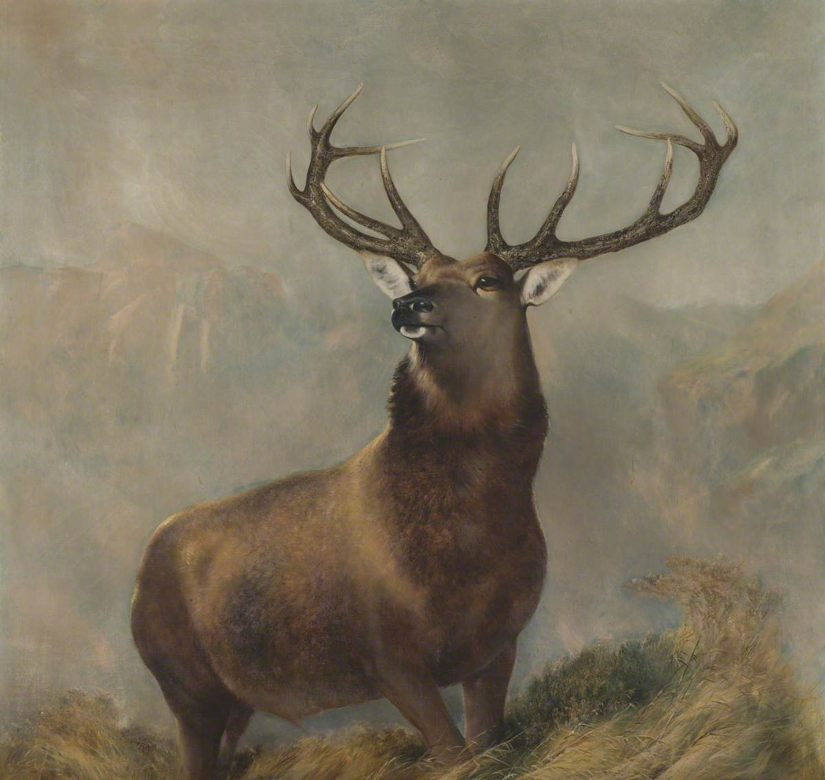 The Monarch of the Glen