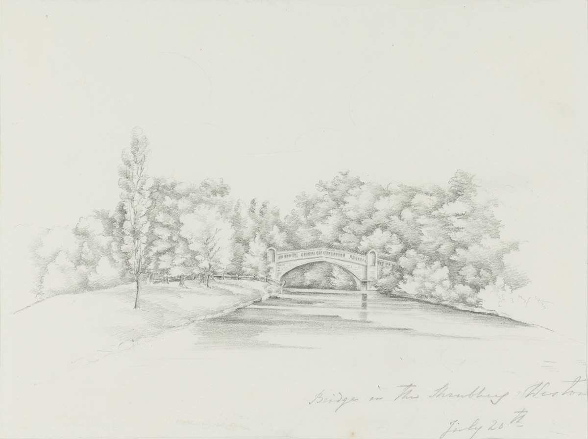 Bridge in the Shrubbery, Weston, July 20th
