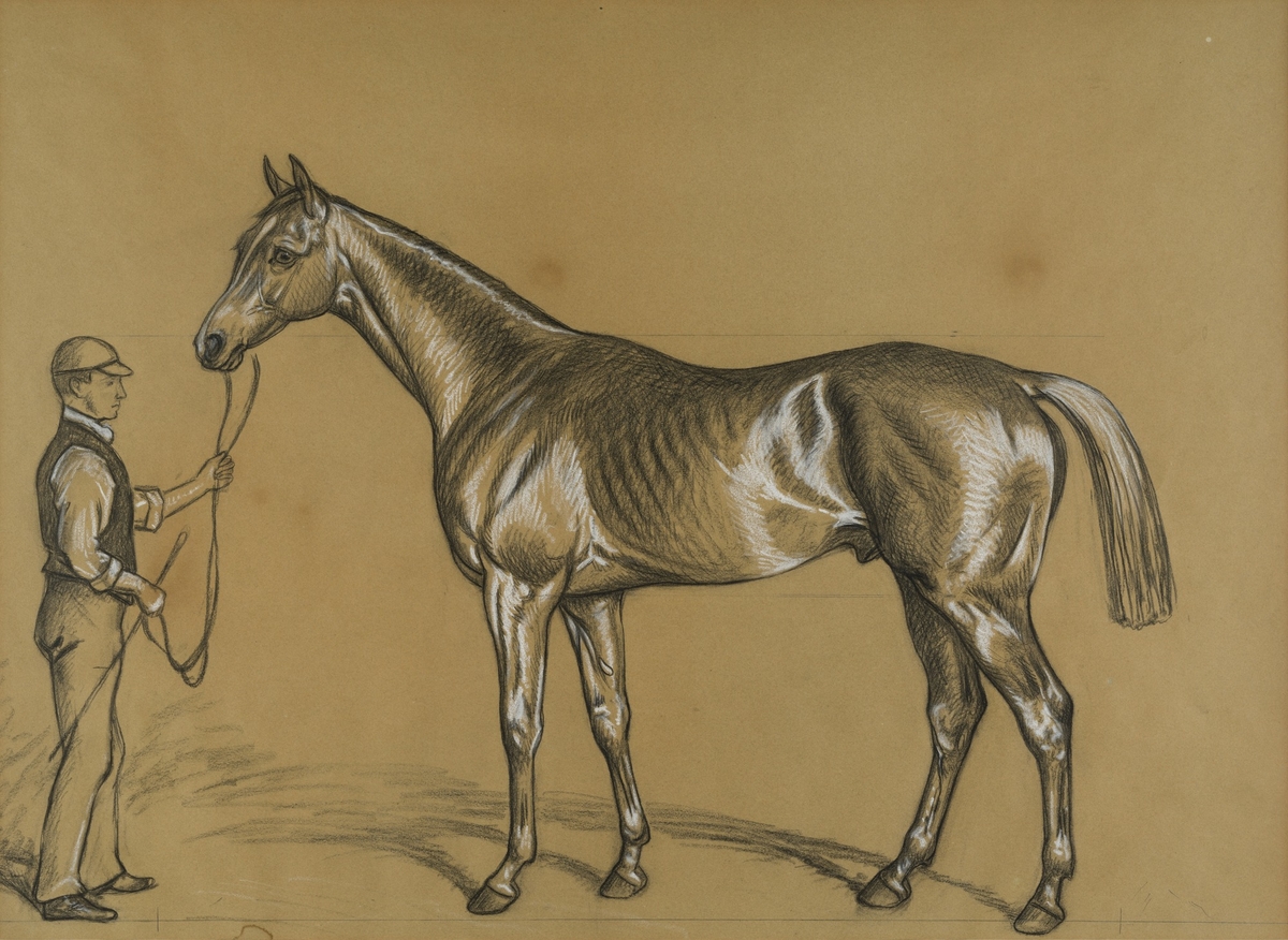 A Study of the Racehorse 'Sir Hugo' with Groom