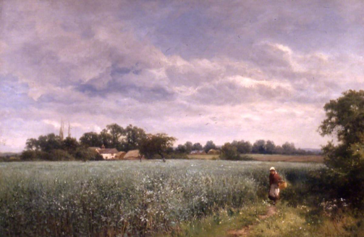 A Bean Field at Pickersleigh, near Malvern, Worcestershire