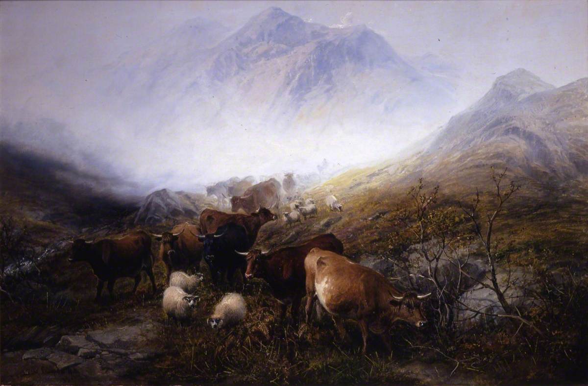 Through the Glen in a Mist
