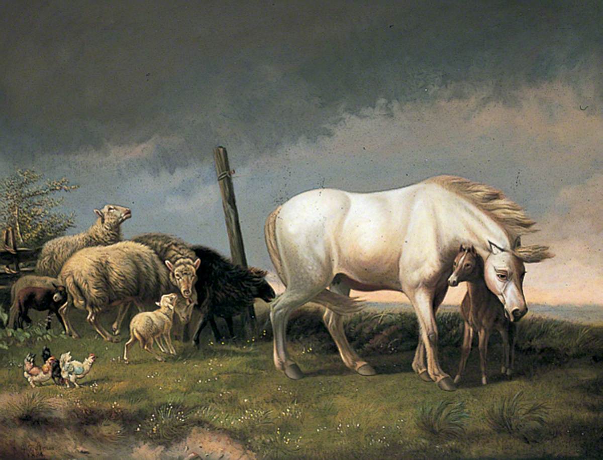 Sheep and Horses in a Wind