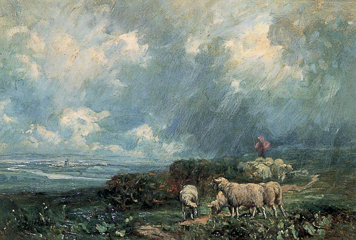 Sheep in a Storm